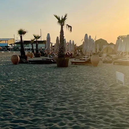 In Complex Sirena! 스베티 블라스